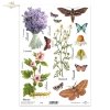 Klar Transparente Folie F132