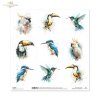 Papier für Scrapbooking SL2062
