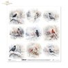 scrapbooking paper SL1627
