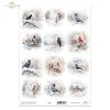 papel para scrapbooking - el papel translúcido P0321