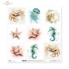Papier do scrapbooking (HS code 48025890) SL2077