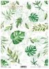 Papier decoupage Soft (HS code 48062000)  S0396