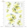 kwiat, ogród, łąka, wiosna, autorka grafiki Maria Kopeć, R912, flower, garden, meadow, spring, Blume, Garten, Wiese, Frühling, flor, jardín, prado, primavera 