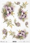 flowers, poppies, field poppies, meadow, garden, Blumen, Mohn, Mohnblumen, Feldblumen, Feldmohn, rote Blumen, Wiese, Garten, flor, amapolas, flores de campo, amapolas de campo, flores rojas, pradera, jardín