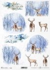 Navidad, vistas de invierno, animales*Weihnachten, Winteransichten, Tiere*Рождество, зимние виды, животные