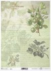 Fruta de decoupage de papel, gooseberry*Бумага декупажа фруктов, крыжовник*Papier decoupage Frucht, Stachelbeere