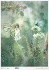 Seria Sekrety - Dolina Elfów. Leśna polana, paprocie, kwiaty, owady, łąka, motyl