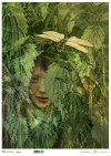  twarz kobiety, rośliny, pokrzywa* female face, plants, nettle* Weibliches Gesicht, Pflanzen, Brennnessel* rostro femenino, plantas, ortiga