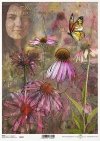 twarz kobiety, rośliny, echinacea, jeżówka*female face, plants, Echinacea, coneflower*weibliches Gesicht, Pflanzen, Echinacea, Sonnenhut*rostro femenino, plantas, Echinacea, coneflower