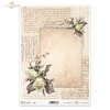 old letter, letters, stationery, handwriting, typeface, letters, in sepia, sepia, alter Brief, Briefe, Briefpapier, Handschrift, Schriftart, Buchstaben, Sepia, carta antigua, cartas, papelería, escritura a mano, tipografía, letras, en sepia, sepia