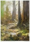 Mysterious forest - tajemniczy las * Mysterious forest * Mysteriöser Wald * Bosque misterioso