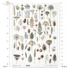 ususzone kwiatki, zioła, rośliny, suszki*dried flowers, herbs, plants, dries*Trockenblumen, Kräuter, Pflanzen, getrocknet*flores secas, hierbas, plantas, seca
