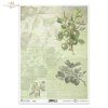 owoce agrestu, agrest, gałązka, gałązki, liście, stare napisy, retro, ręczne pismo, roślinne tło, gooseberry, fruits, twig, twigs, leaves, old inscriptions, retro, handwriting, vegetable background, Stachelbeere, Obst