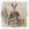 zwierzęta retro, zwierzęta w strojach, zoomorfizm, vintage,  króliki, zające, sielskie, sepia*retro animals, animals in costumes, zoomorphism, vintage, rabbits, hares, idyllic, sepia