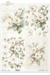 kwiaty 3D, jabłoń*3D flowers, apple tree*3D-Blumen, Apfelbaum*Flores 3D, manzano