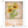 słonecznik, słoneczniki, kwiaty, ogród, łąka, lato, kropki, R989, sunflower, sunflowers, flowers, garden, meadow, summer, dots, Sonnenblumen, Blumen, Garten, Wiese, Sommer, Punkte, girasol, flores, jardín, prado, verano, lunares
