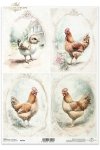kury, kurczaki, wiejskie zwierzęta, wiosenne klimaty, rustykalny styl*chickens, countryside animals, springtime climate, rustic style*Hühner, Tiere auf dem Lande, Frühlingsklima, rustikaler Stil*gallinas, pollos, animales de campo, clima primaveral, estil
