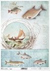 retro, fish, water, sea, boat, sailboat, angler, fishing, fisherman, fishing, catching, Fisch, Wasser, Meer, Boot, Segelboot, Angler, Fischen, Fischer, Fischen, fangen, pez, pescado, agua, mar, barco, velero, pescador, pesca, pescador, captura