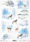 Navidad, vistas de invierno, animales*Weihnachten, Winteransichten, Tiere*Рождество, зимние виды, животные