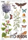 łąka, rośliny, motyl, motyle, rumianek, hibiskus, lawenda, kwiat, kwiaty, zioła, ziółka, R404