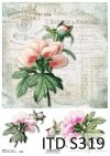 papier decoupage Peonia*paper decoupage Peony