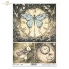 motyl, ćma na zegarze, Bialy Królik, zegar, Alicja, dziewczynka trzymająca zegar*butterfly, moth on clock, White Rabbit, clock, Alice, girl holding clock*Schmetterling, Motte auf Uhr, Weißes Kaninchen, Uhr, Alice, Mädchen hält Uhr*mariposa, polilla en rel