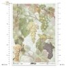 fruit, grapes, grapevine, grape cluster, twig, leaves, old lettering, retro, handwriting, old paper, letter, floral background, Frucht, Obst, Weintraube, Weinstock, Traube, Zweig, Blätter, alte Schrift, retro, Handschrift