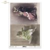 zwierzęta retro, zwierzęta w dawnych strojach, zoomorfizm, vintage, kot, kotek, kicia, koty, sfinks, animals, animals in old clothes, zoomorphism, cat, kitten, kittens, cats, sphinx, Retro-Tiere, Tiere in alter Kleidung, Zoomorphismus, Katze