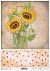 słonecznik, słoneczniki, kwiaty, ogród, łąka, lato, kropki, R989, sunflower, sunflowers, flowers, garden, meadow, summer, dots, Sonnenblumen, Blumen, Garten, Wiese, Sommer, Punkte, girasol, flores, jardín, prado, verano, lunares
