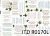 papier decoupage kolędy*paper decoupage carols*Papier-Decoupage-Weihnachtslieder*villancicos de papel decoupage*бумажные декупажские колядки