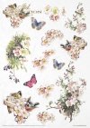 Zestaw kreatywny na papierze ryżowym - Rosy summertime * Creative set on rice paper - Rosy summertime