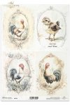 koguty, koguciki, wiejskie zwierzęta, wiosenne klimaty, rustykalny styl*roosters, cockerels, country animals, spring breeding, rustic style*Hähne, Tiere auf dem Lande, Frühjahrsaufzucht, rustikaler Stil*gallos, gallitos, animales de campo, cría primaveral