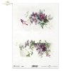 wiosenne kwiaty, clematis, powojnik, powojniki, łąka, ogród, wiosna, spring flowers, clematis, meadow, garden, spring, Frühlingsblumen, Clematis, Wiese, Garten, Frühling, flores de primavera, clemátide, prado, jardín, primavera