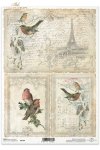 zimowy Paryż, ptaki, wieża Eiffla, zima, list, retro, vintage, ręczne pismo, R184, Paris, Eiffel Tower, bird,  birds, old letters, París, Torre Eiffel, pájaros, cartas viejas , Paris, Eiffelturm, Vögel, alte Briefe 