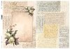 papel decoupage clásico D0472M