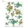 bratki, bratek ogrodowy, fiołek ogrodowy, bukiet, kwiat, łąka, ogród, wiosna, lato, R969, pansies, garden pansy, garden violet, bouquet, flower, meadow, garden, spring, summer, Stiefmütterchen, Gartenstiefmütterchen, Gartenveilchen, Strauß, Blume, Wiese, 