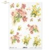 prymulka, prymulki, kwiat, ogród, łąka, wiosna, R960, primulas, flower, garden, meadow, spring, Primeln, Blume, Garten, Wiese, Frühling, prímulas, flor, jardín, prado, primavera