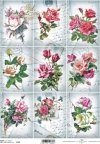 Papier decoupage Soft (HS code 48062000)  S0142