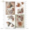 hen, chickens, roosters, quack with eggs, eggs in nest, nest, proud rooster and lone hen, interesting background with various ornaments, pastel background, farm animals, Henne, Hühner, Hähne, quaken mit Eiern