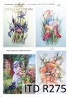 malarstwo współczesne, kwiaty, irysy, Magdalena Rochoń, R275