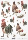 kura, kurka, kogut, chrabąszcz, owad, stary but, świąteczny, wielkanocne tematy, R664, hen, cockerel, cockchafer, insect, old shoe, easter themes, gallina, gallito, gallito, insecto, zapato viejo, festivo, pascua, temas de pascua, Henne, Hahn, Maikäfer, I