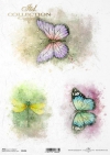 Akwarele, kolorowe motyle, ważka, owady, lato*Watercolors, colorful butterflies, dragonfly, insects, summer