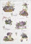 flower, flowers, violet, violets, bouquet, bouquets, wheelbarrow, wheelbarrows, flower basket, baskets, R356