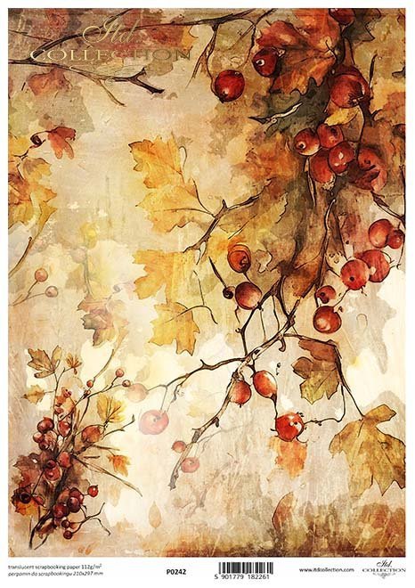 translucent scrapbooking paper P0242 * autumn views, plants, hawthorn ...