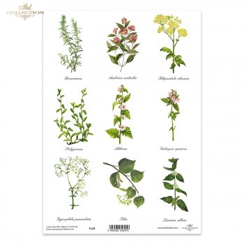Folia przezroczysta (HS code 39261000) F129
