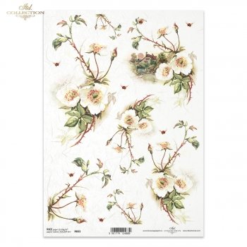 Reispapier für Serviettentechnik und Decoupage R0833