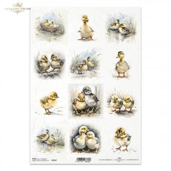 Reispapier für Serviettentechnik und Decoupage R2347