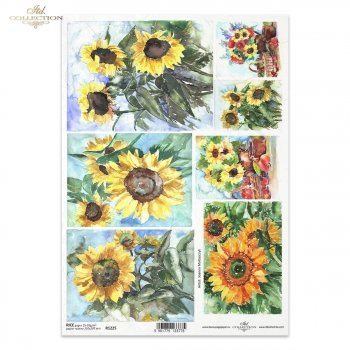 Reispapier für Serviettentechnik und Decoupage R1225
