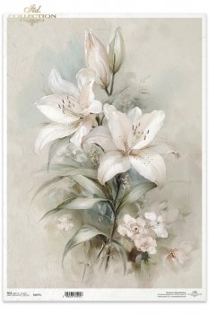 Reispapier A3 für Decoupage R1677L