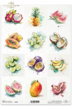 Rice paper R2848